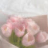 sissil08